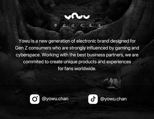 yowu-elf-wireless-earphon